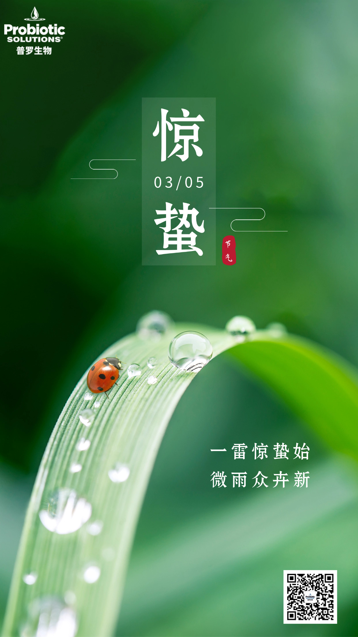 惊蛰.jpg